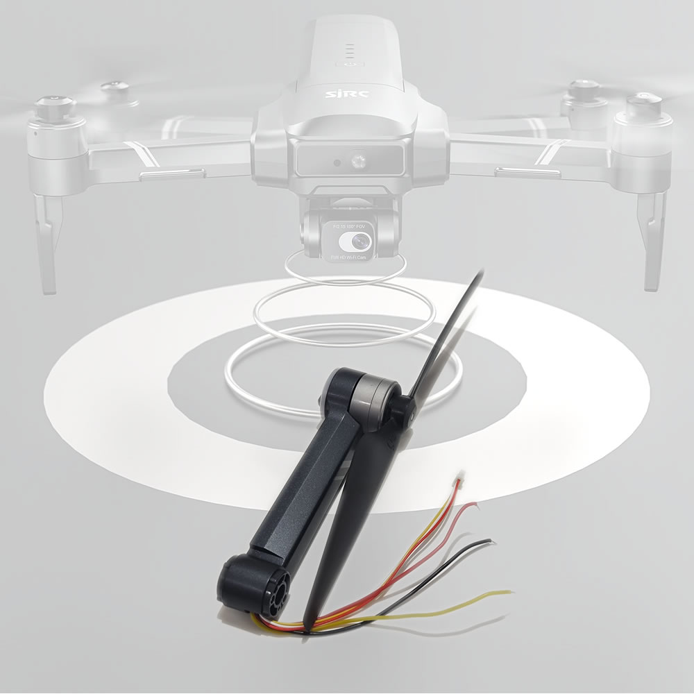 SJRC F22/F22S/F22 S2 GPS Brush - Drone F22 Rc recensione e prezzo